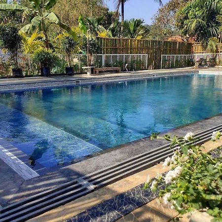 Вілла Ibiza Wonderland , Meppadi Wayanad Екстер'єр фото