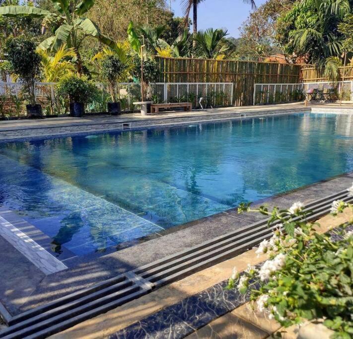 Вілла Ibiza Wonderland , Meppadi Wayanad Екстер'єр фото